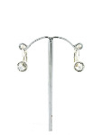 Clear Drop Earrings