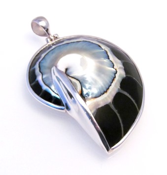 Black Nautilus Shell Pendant - Large