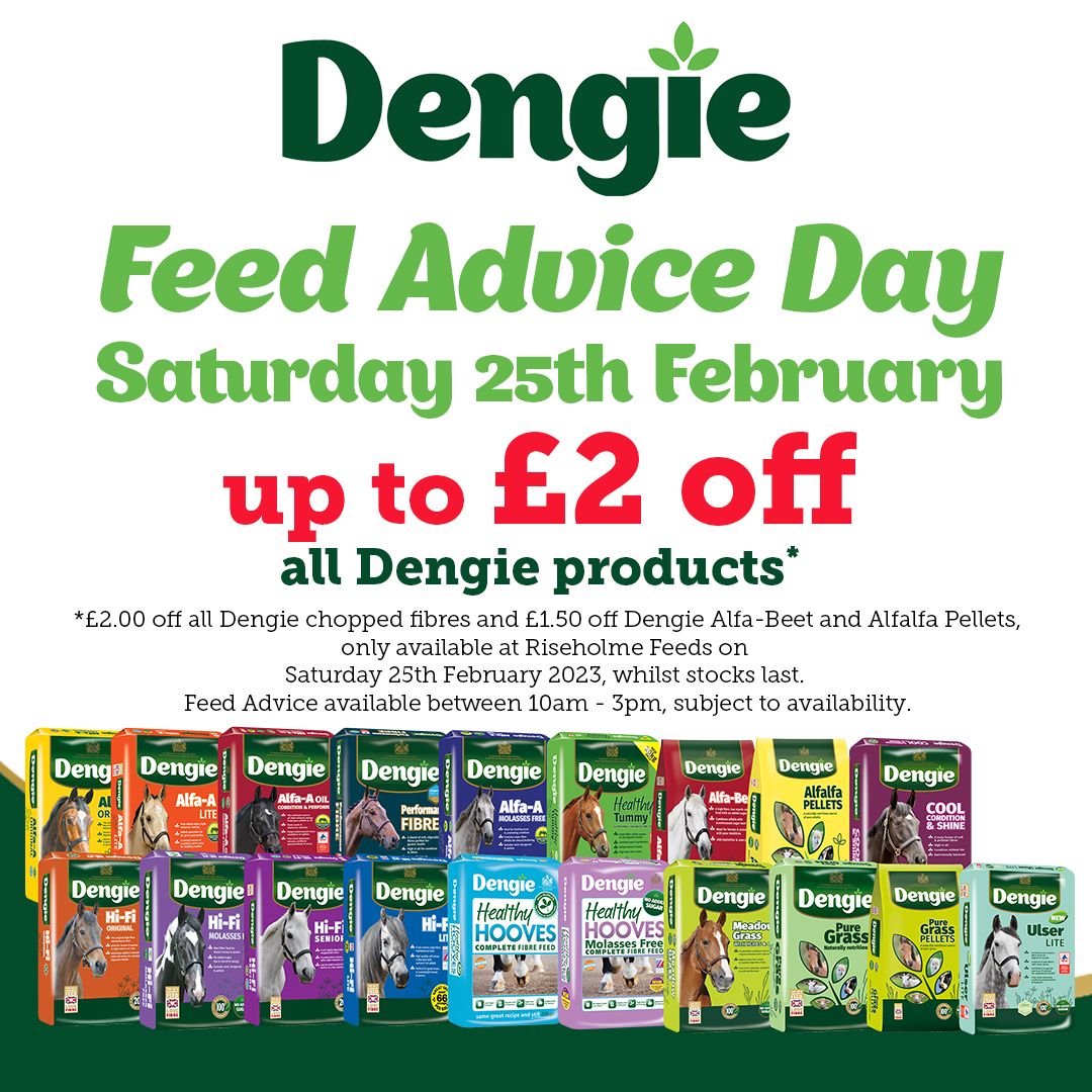 Dengie feeds