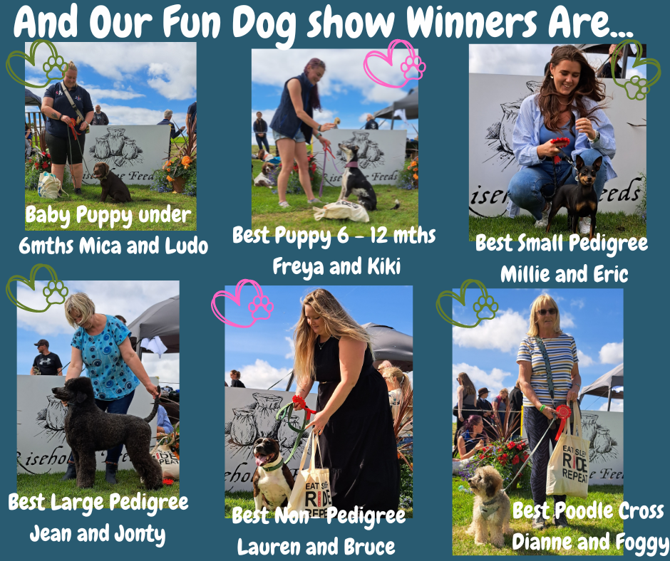 Dog show winners
