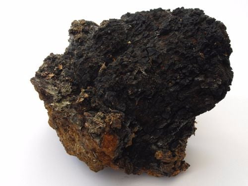 What Chaga Looks Like