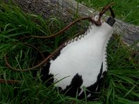 leather-Water Bottle-the Tribesman- in grass