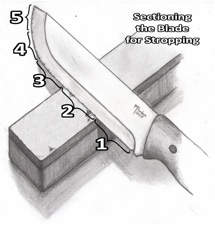 Sectioning the Blade for Stropping