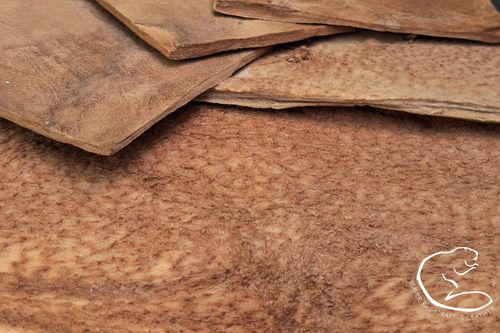 100% Natural Amadou - SHEETS for CRAFTS & DISPLAYS - Assorted Sizes - Best Quality