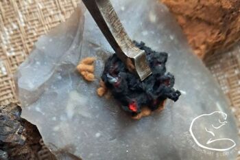 Fire tinder teaser with amadou by BB