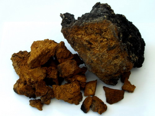 Tinder_chaga_fungus_plus_100g_b_grade