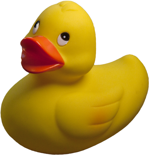 e22c3a06-9a60-405f-a9eb-e3b84b1d975e_l