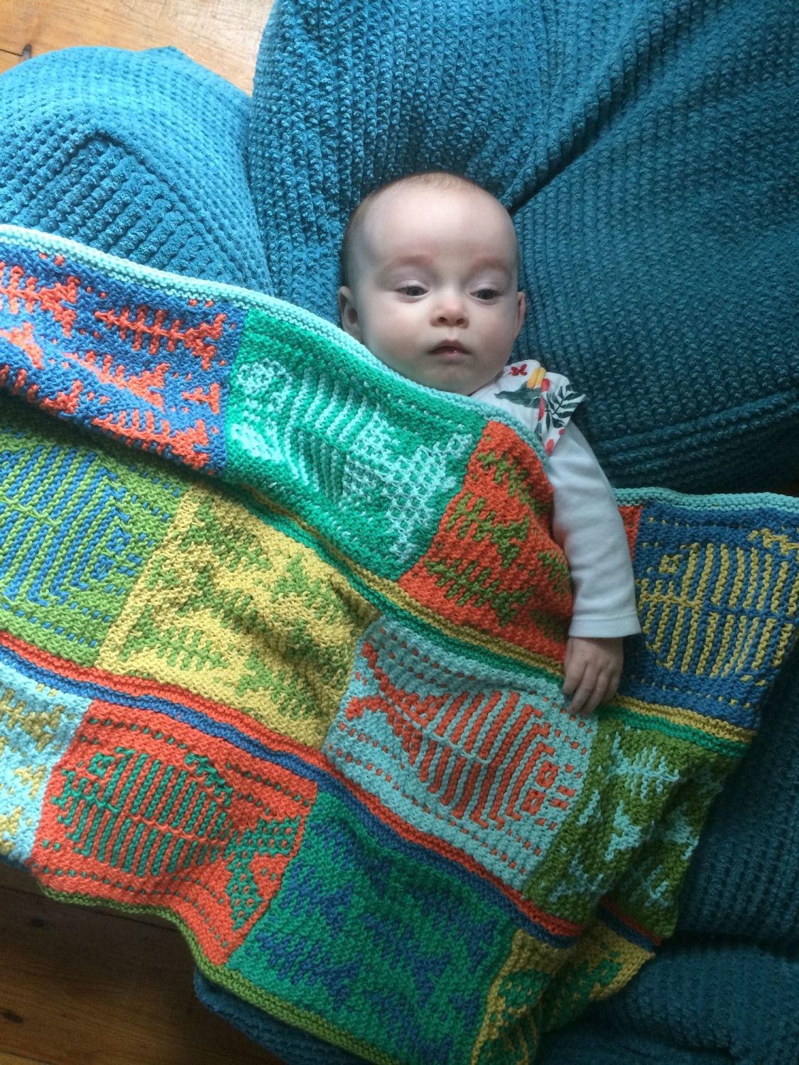 Knitting DIY Kits Easy to follow patterns & quality yarns