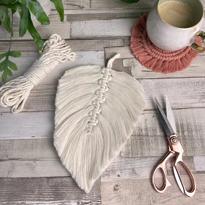 Macrame feather wall hanging kit