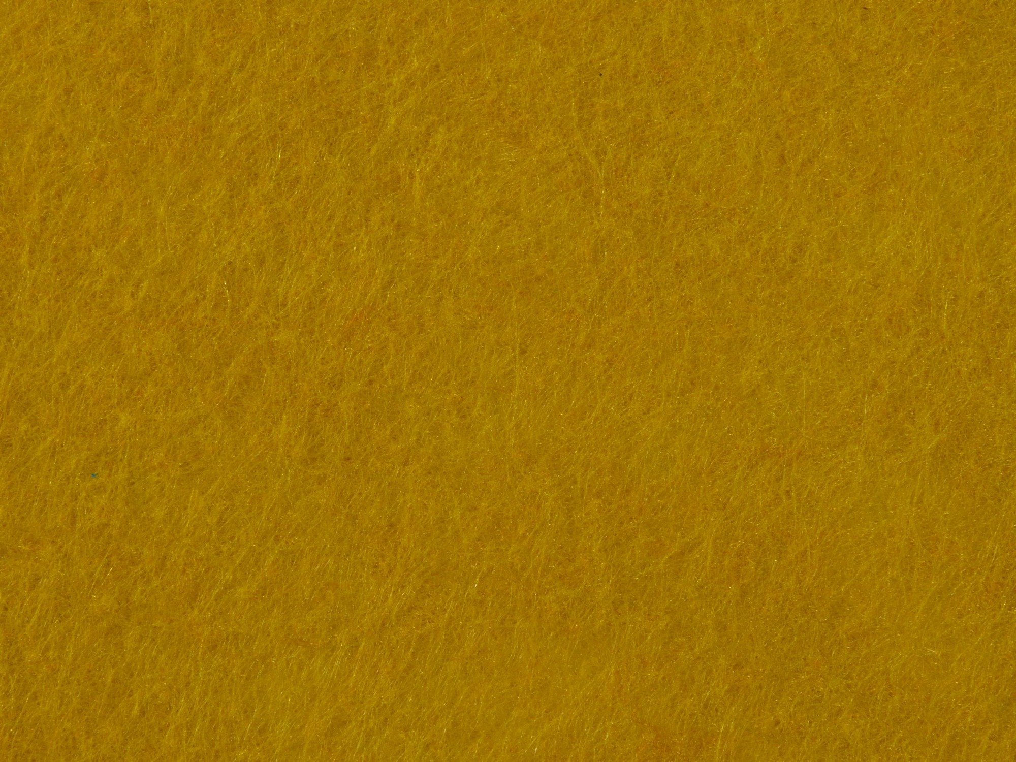 Example image