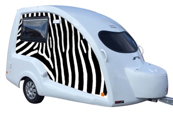 Side Panel zebra