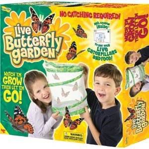 Butterfly Garden - Award Winning Live Butterfly Hatching Kit