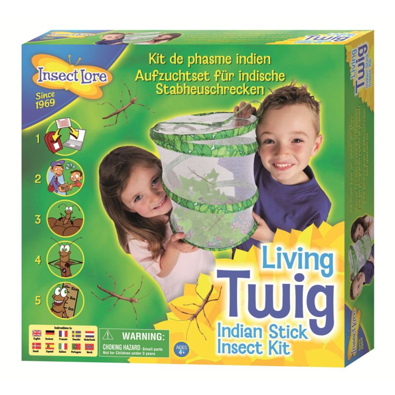 Living Twig Stick Insect Hatching Kit