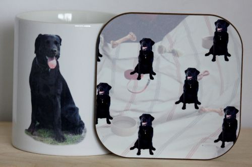 Black Labrador Gift Set - Mug & Coaster