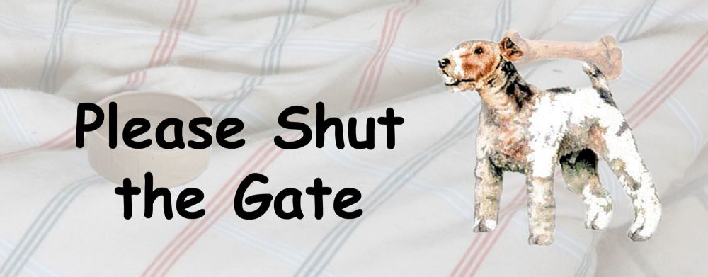 Fox Terrier