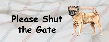 Pug