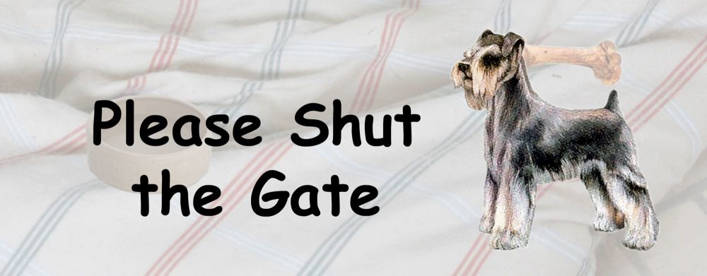 Schnauzer