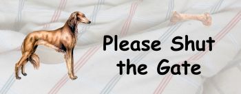 Saluki