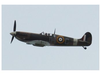 Spitfire (1)