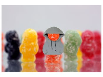 Hoody Jelly