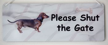 Dachshund