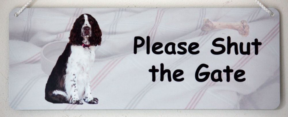 Springer Spaniel (English)