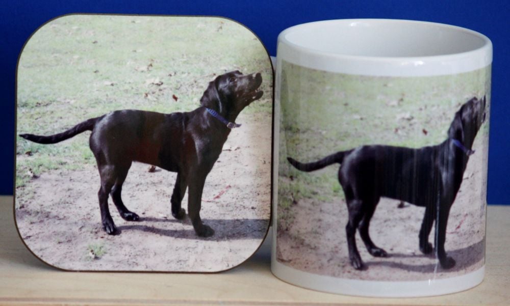 Blacl Labrador - Mug & Coaster