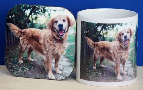 Golden Retriever - Mug & Coaster