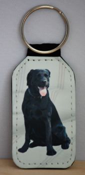 Black Labrador