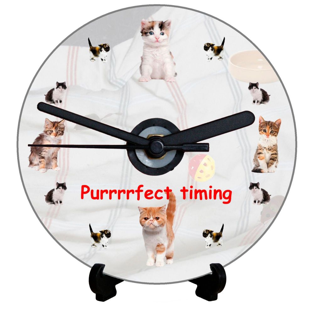 Cats - Puurfect Timing