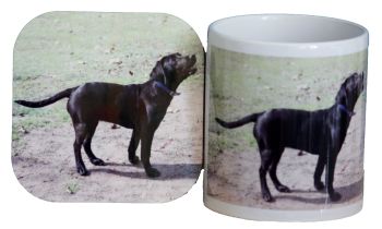 Black Labrador - Mug & Coaster (2)
