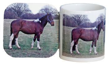 Horse - Mug & Coaster