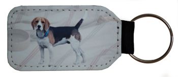Beagle