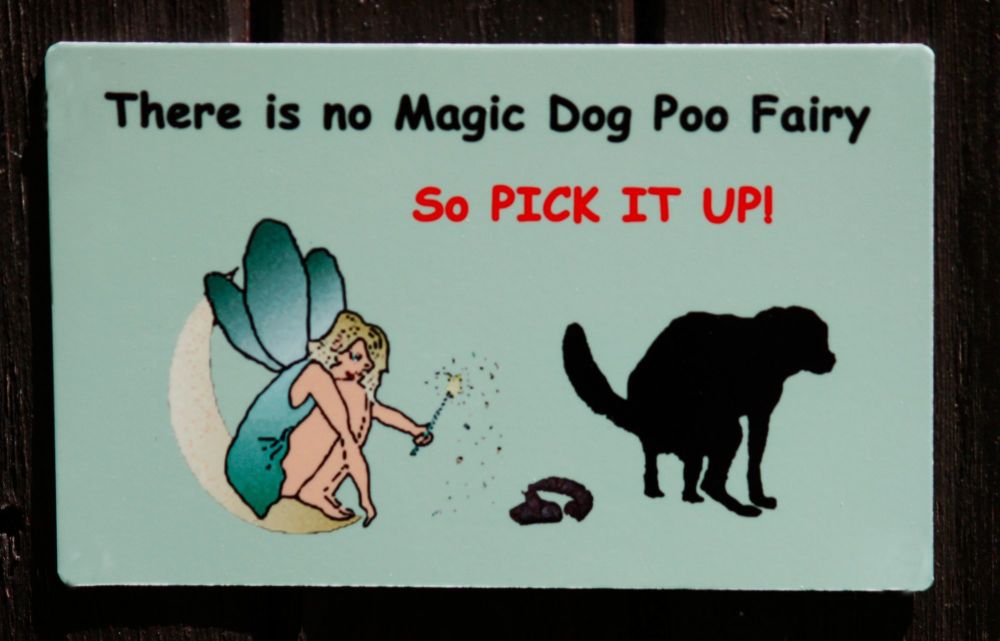 Magic Poo Fairy