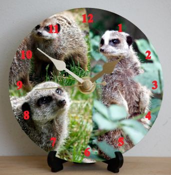 Meercats