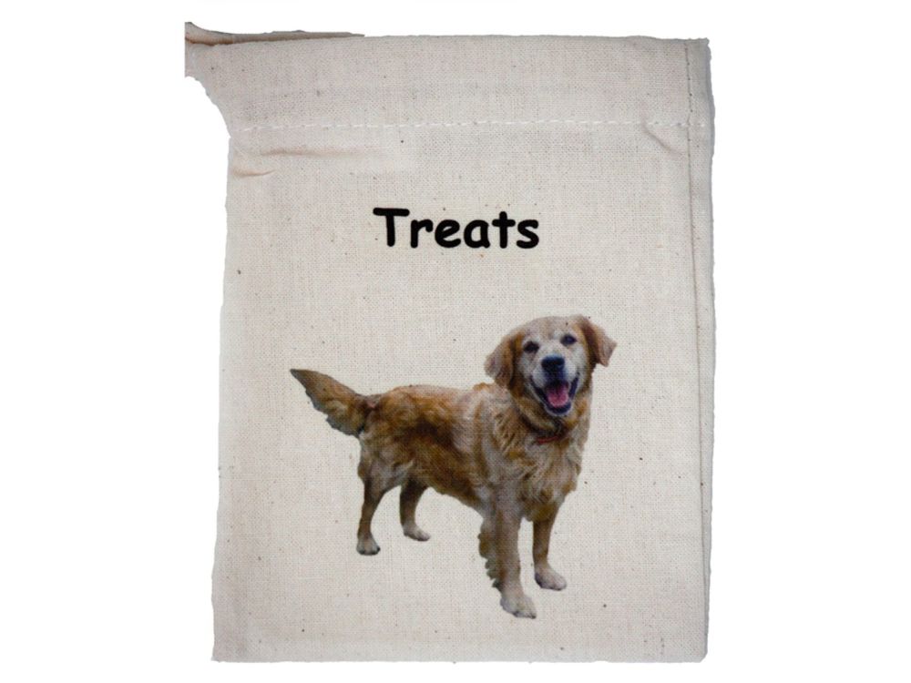 Retriever (Golden)