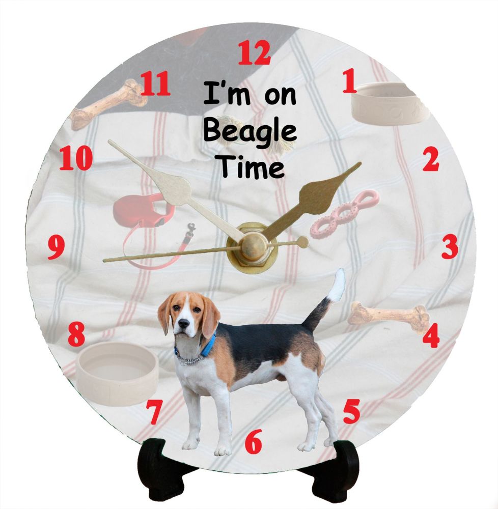 Beagle