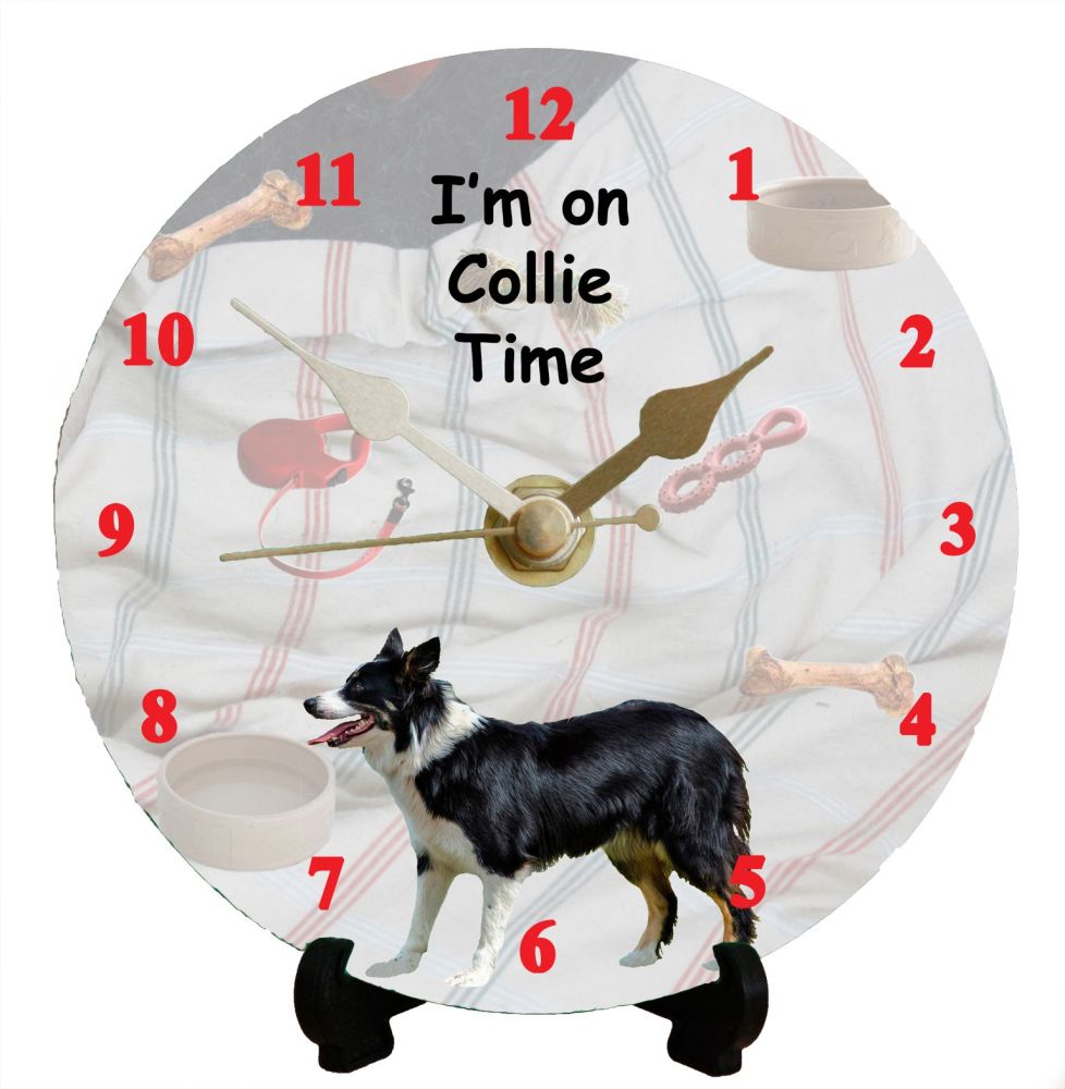 Border Collie