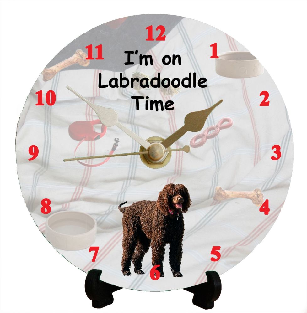 Labradoodle (Chocolate)
