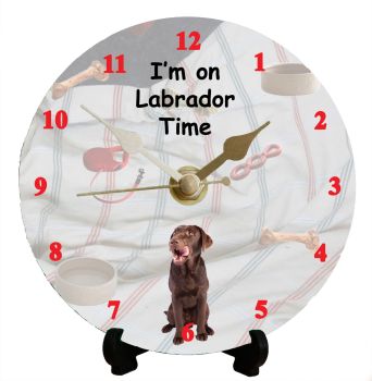 Labrador (Chocolate)