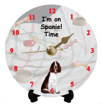 Springer Spaniel (English)