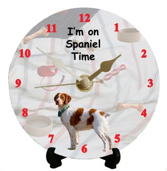 Brittany Spaniel