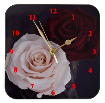 Red and White Rose