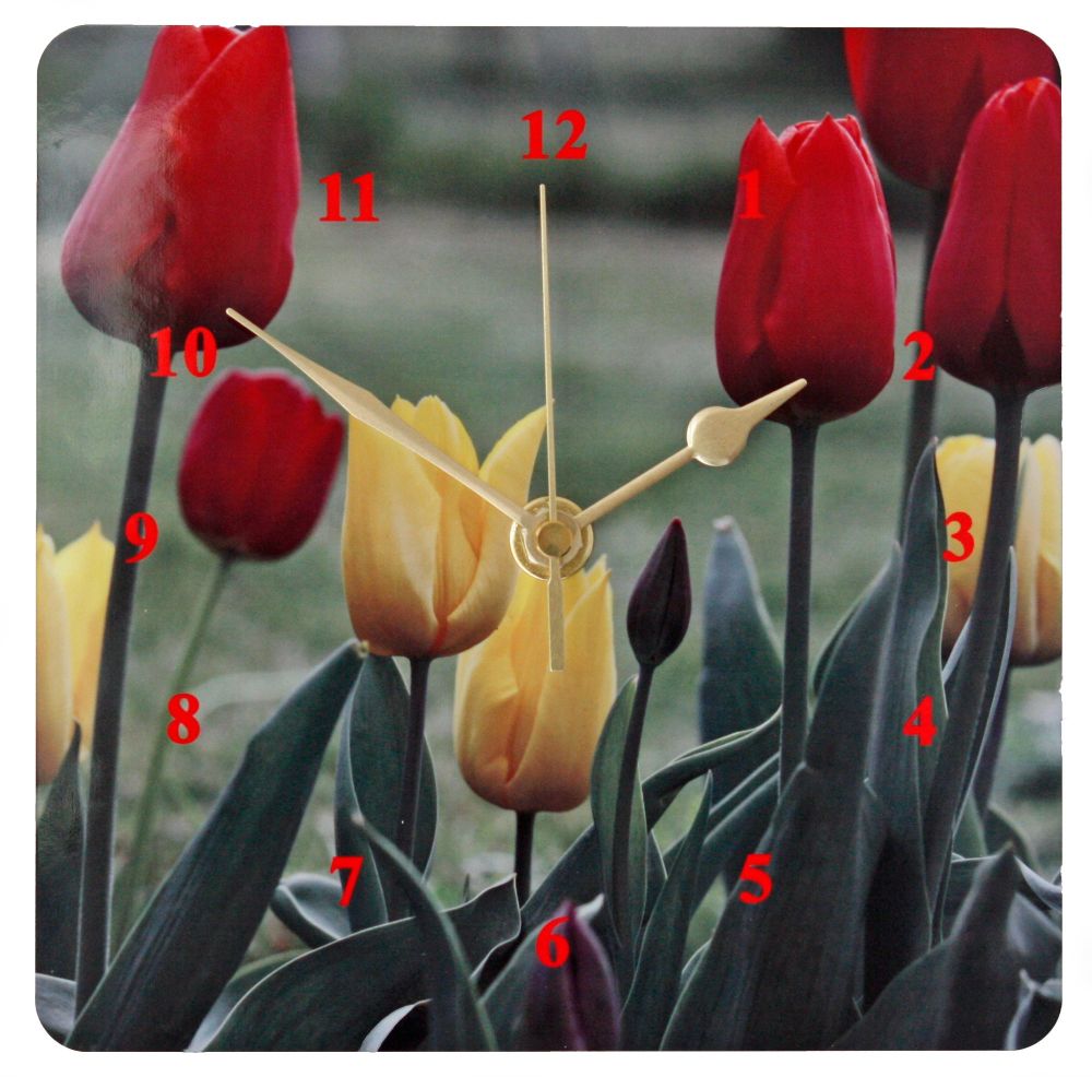 Tulips