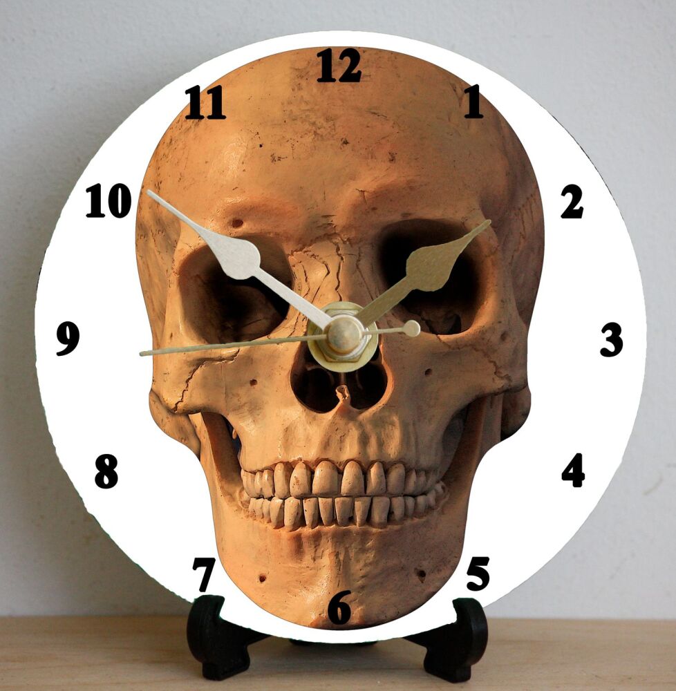 Skull