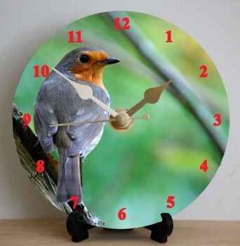 Robin