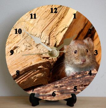Mouse