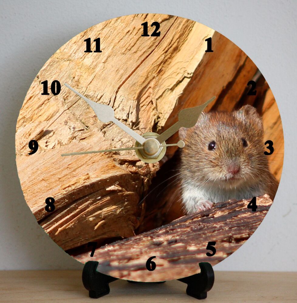 Mouse