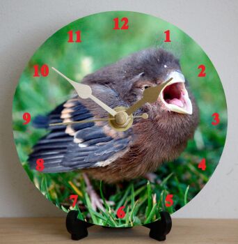 Twitter