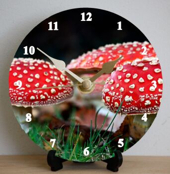 Funghi (1)